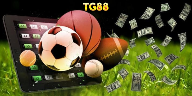 Những loại cược phổ biến nhất tại TG88