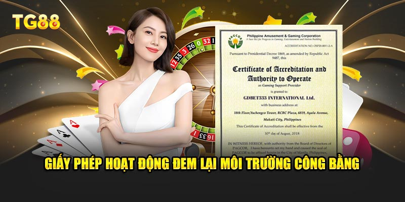 Lợi Ích Người Chơi Nhận Được Từ Giấy Phép Hoạt Động